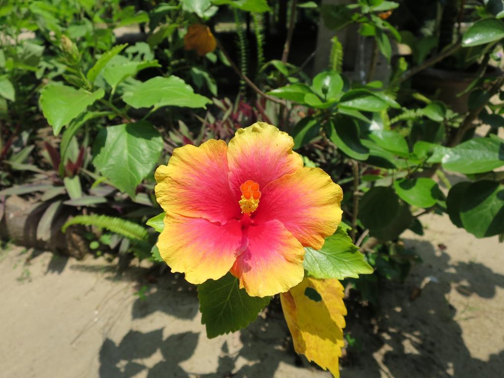 Bangbaobeach Resort Koh Chang Bagian luar foto